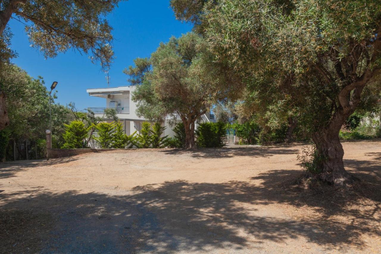 Althea Suites By Rentalspro Services - Nea Moudania Halkidiki 外观 照片