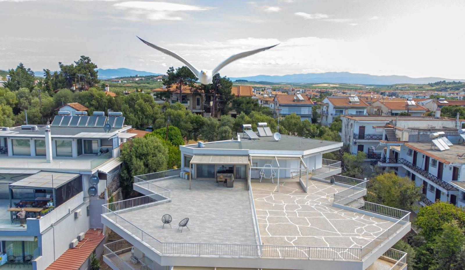 Althea Suites By Rentalspro Services - Nea Moudania Halkidiki 外观 照片